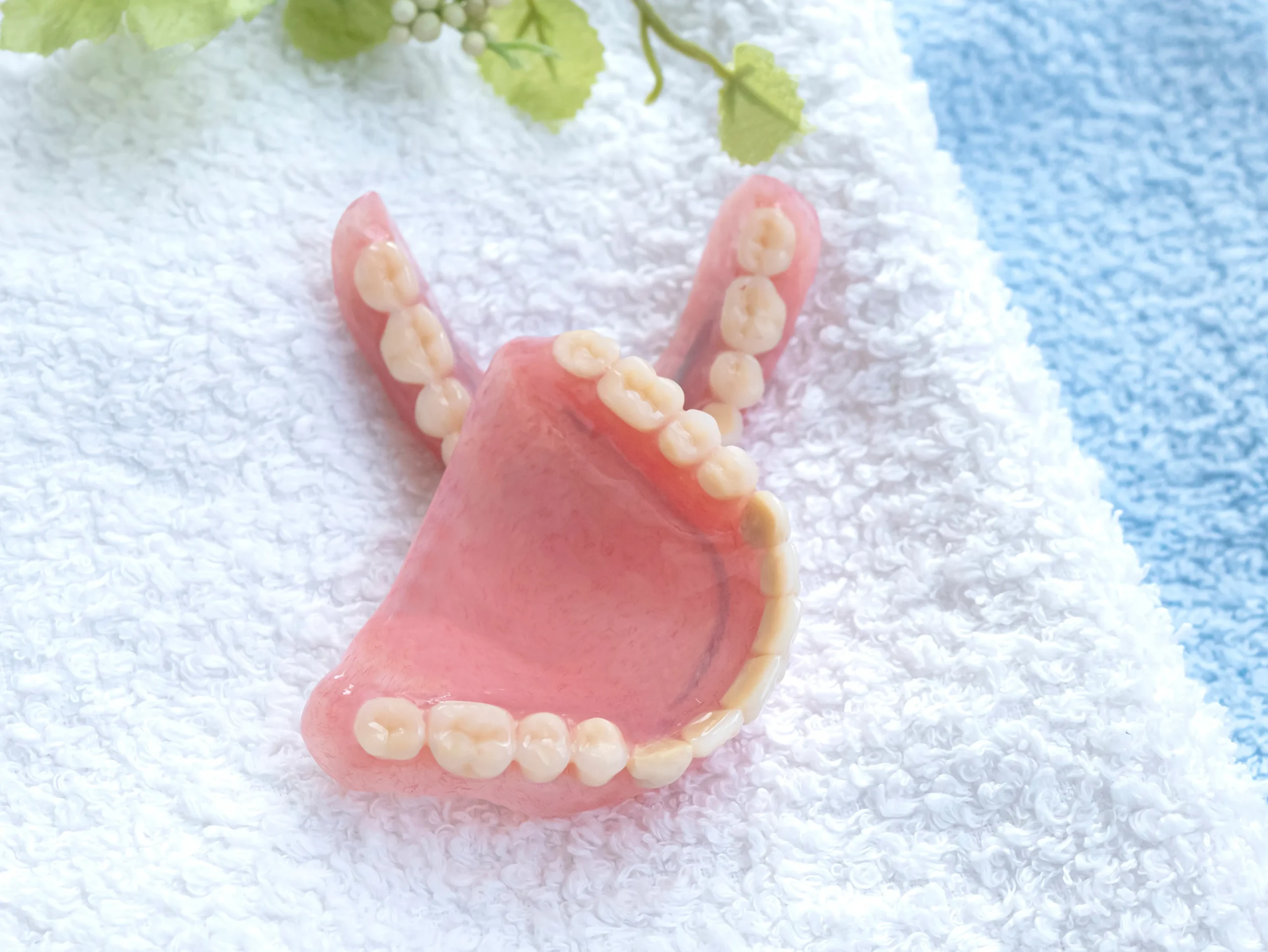 AdobeStock_387052204.jpeg