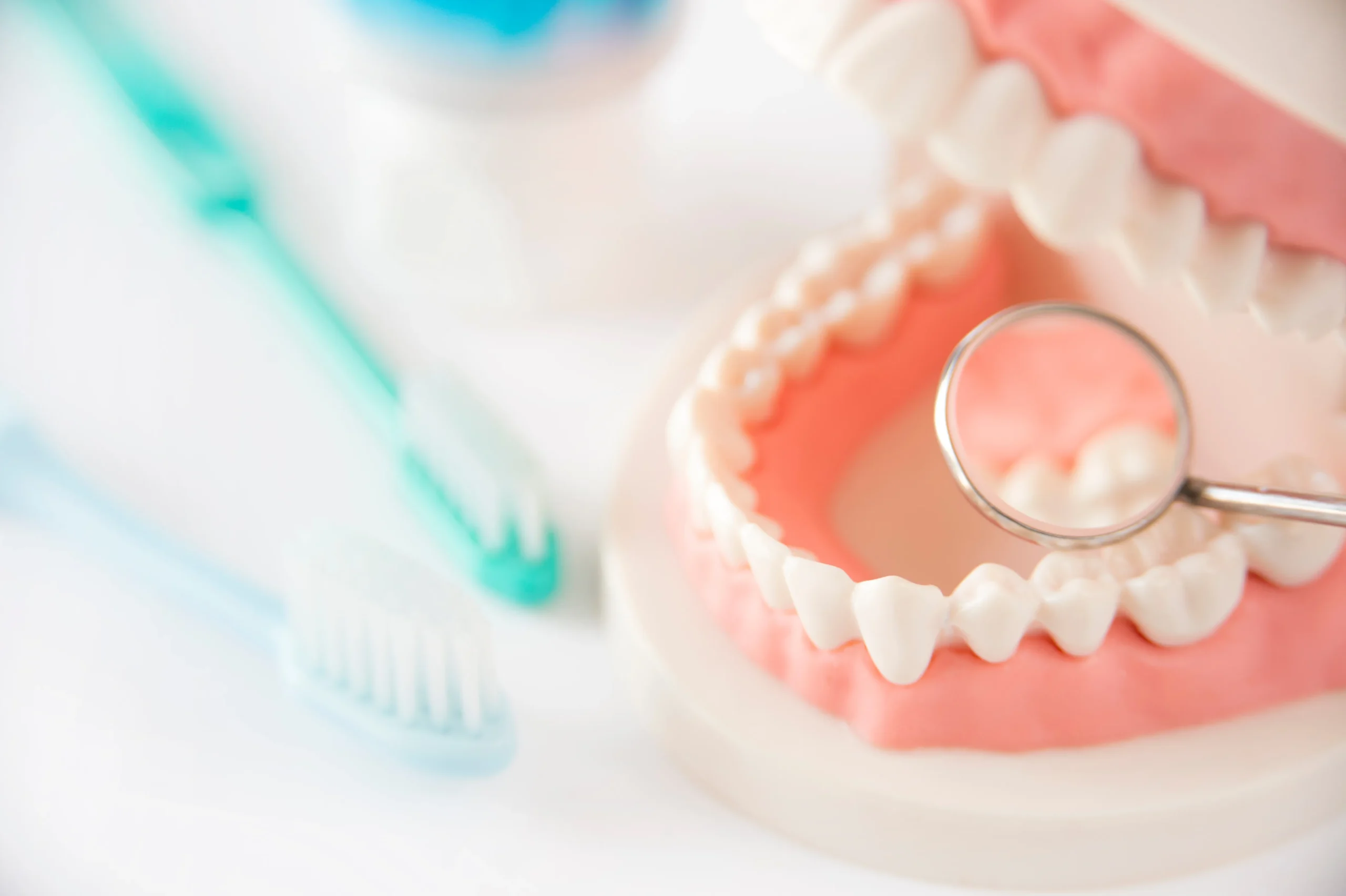 AdobeStock_195423208.jpeg