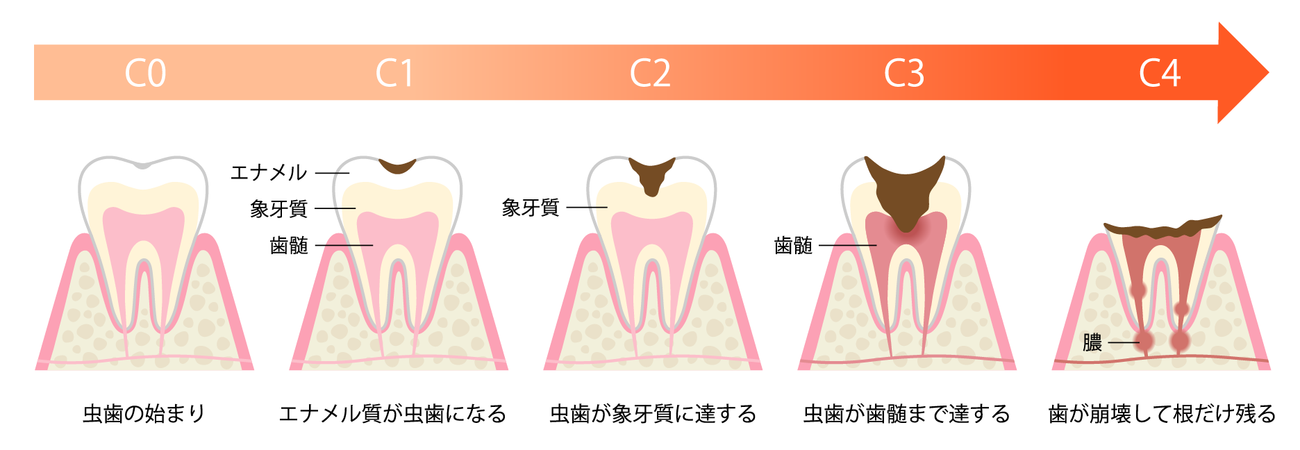 全体.ai